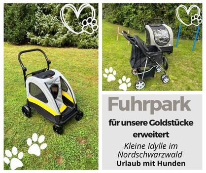 Diese Hundebuggys stehen unseren vierbeinigen Gästen zur Verfügung 