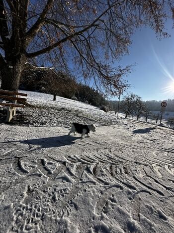 Spazierwege ab unserer kleinen Idylle