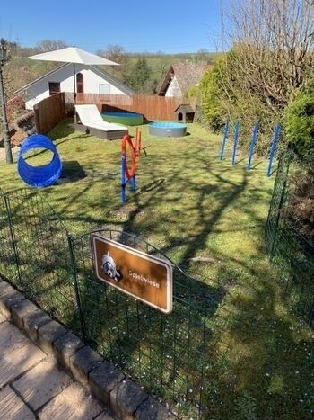 Spielwiese eingezäunt mit Pool und Agility-Parcours