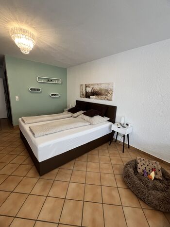 Wohn-/Schlafraum Boxspringbett 1,80x2,00m