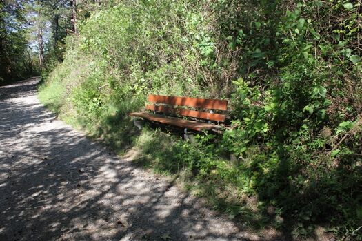 Wald und Wiesen oberhalb der Ferienwohnung