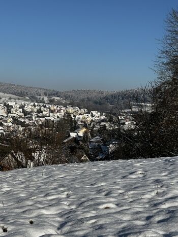 Oberhalb unserer Ferienwohnung
