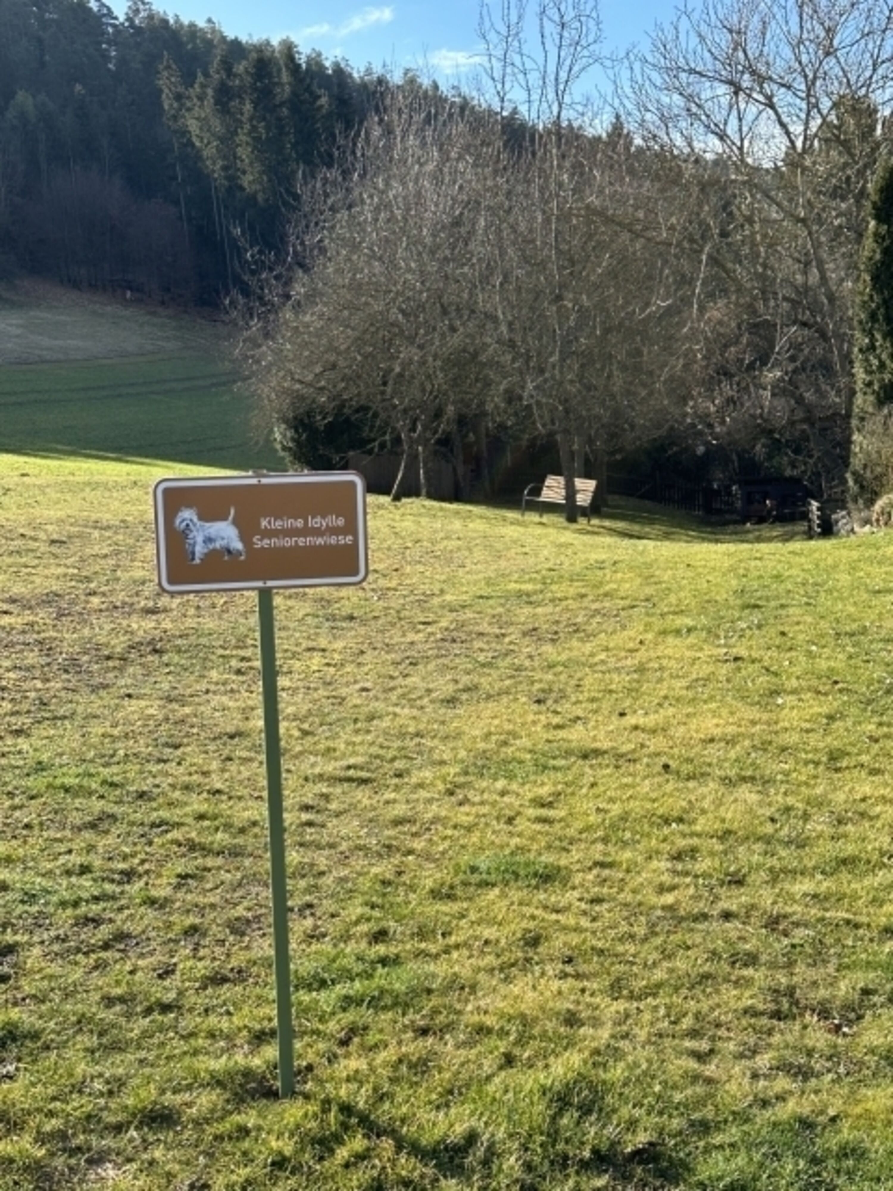 Seniorenwiese, oberhalb unserer Ferienwohnung