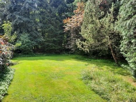 Erste eingezäunte Wiese