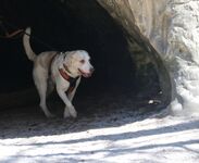 FeWo am Wald, Wanderwege direkt vor der Tür