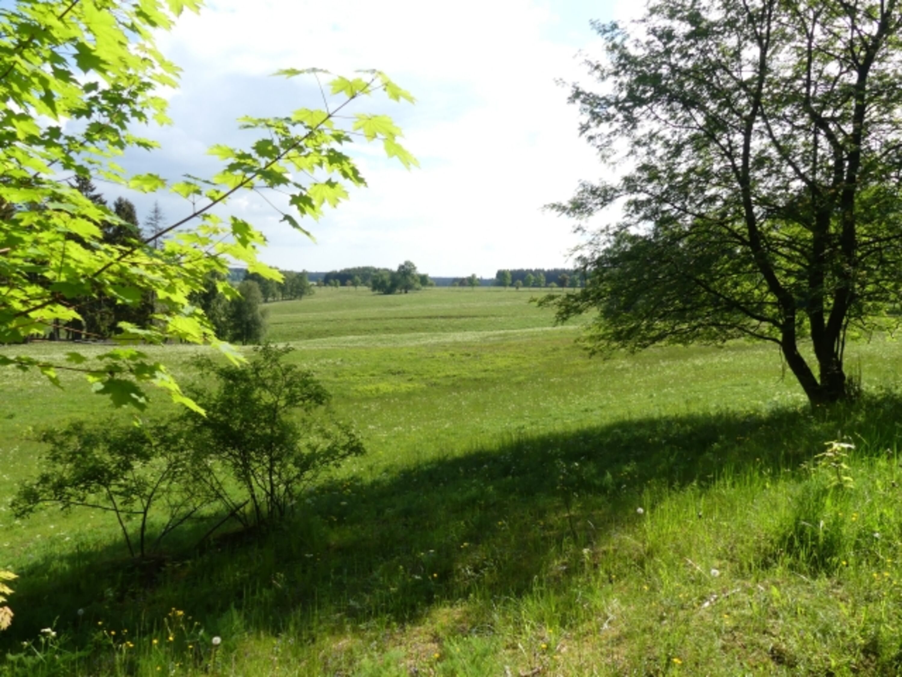 Bild 14
