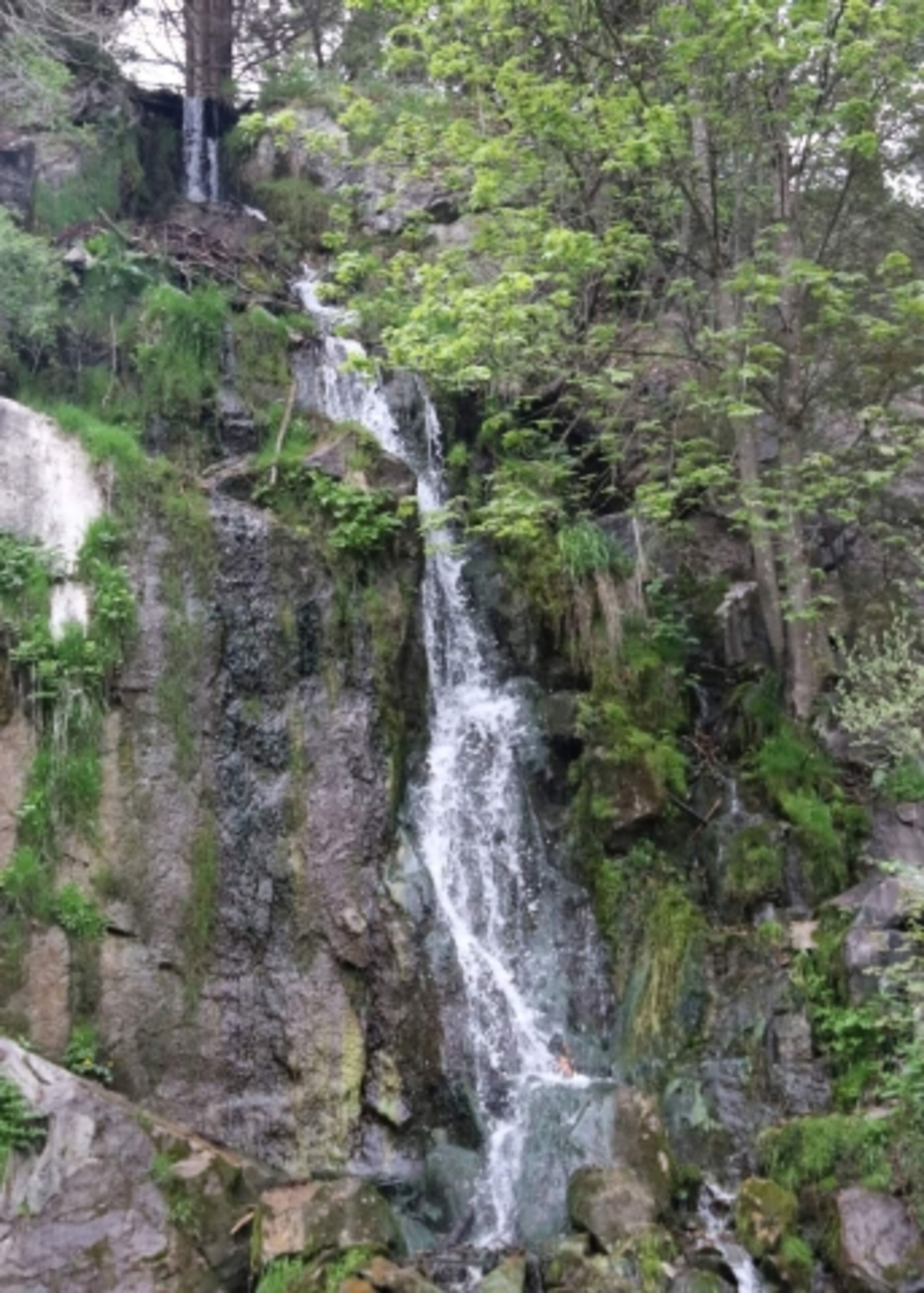 Bild 18