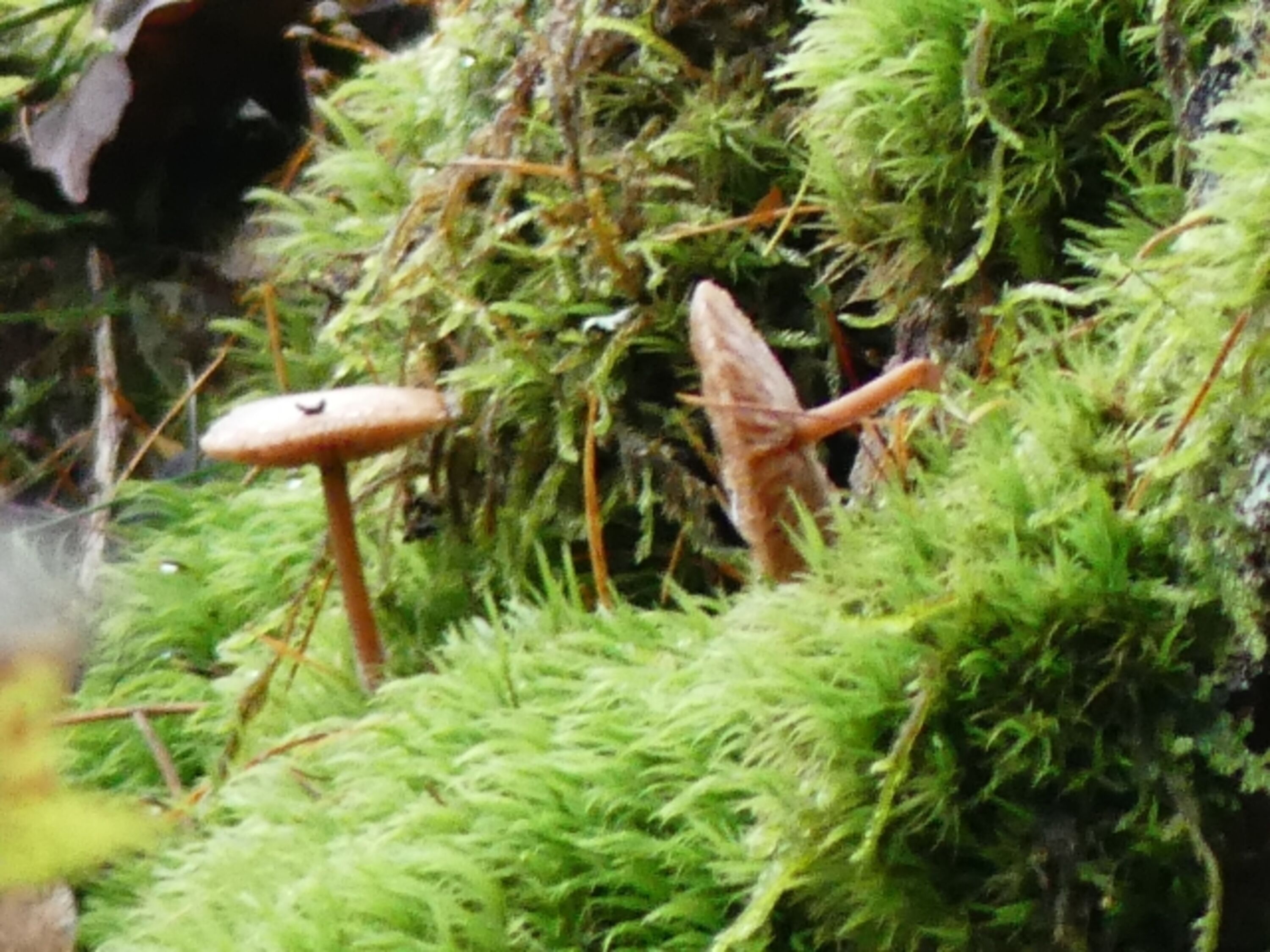 Bild 17