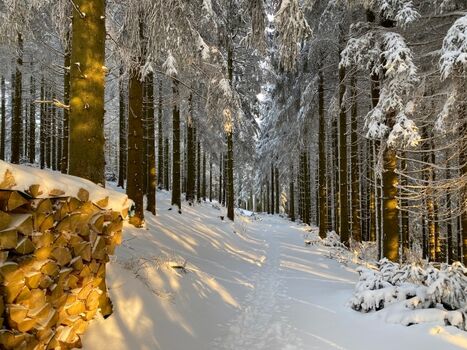 Wanderwege vor der Haustür