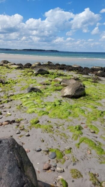 Küste zwischen Sehlendorf und Weissenhaus 