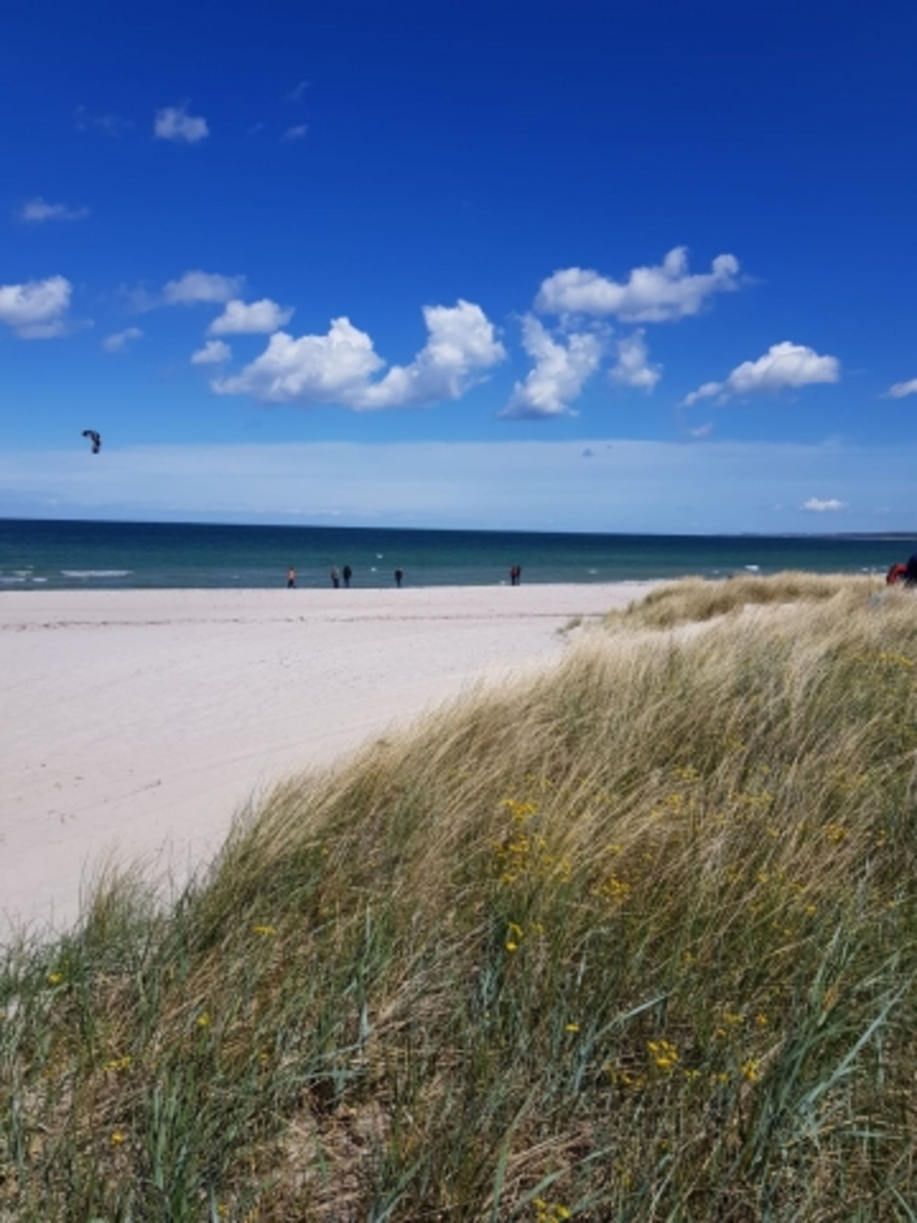 Sehlendorfer Strand 