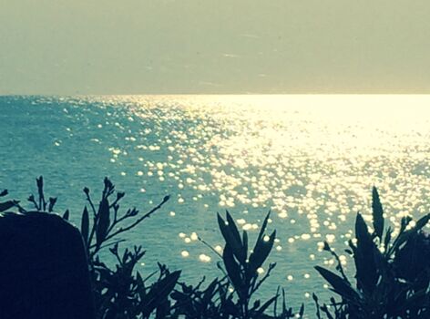 Herrlicher Blick auf das Haff