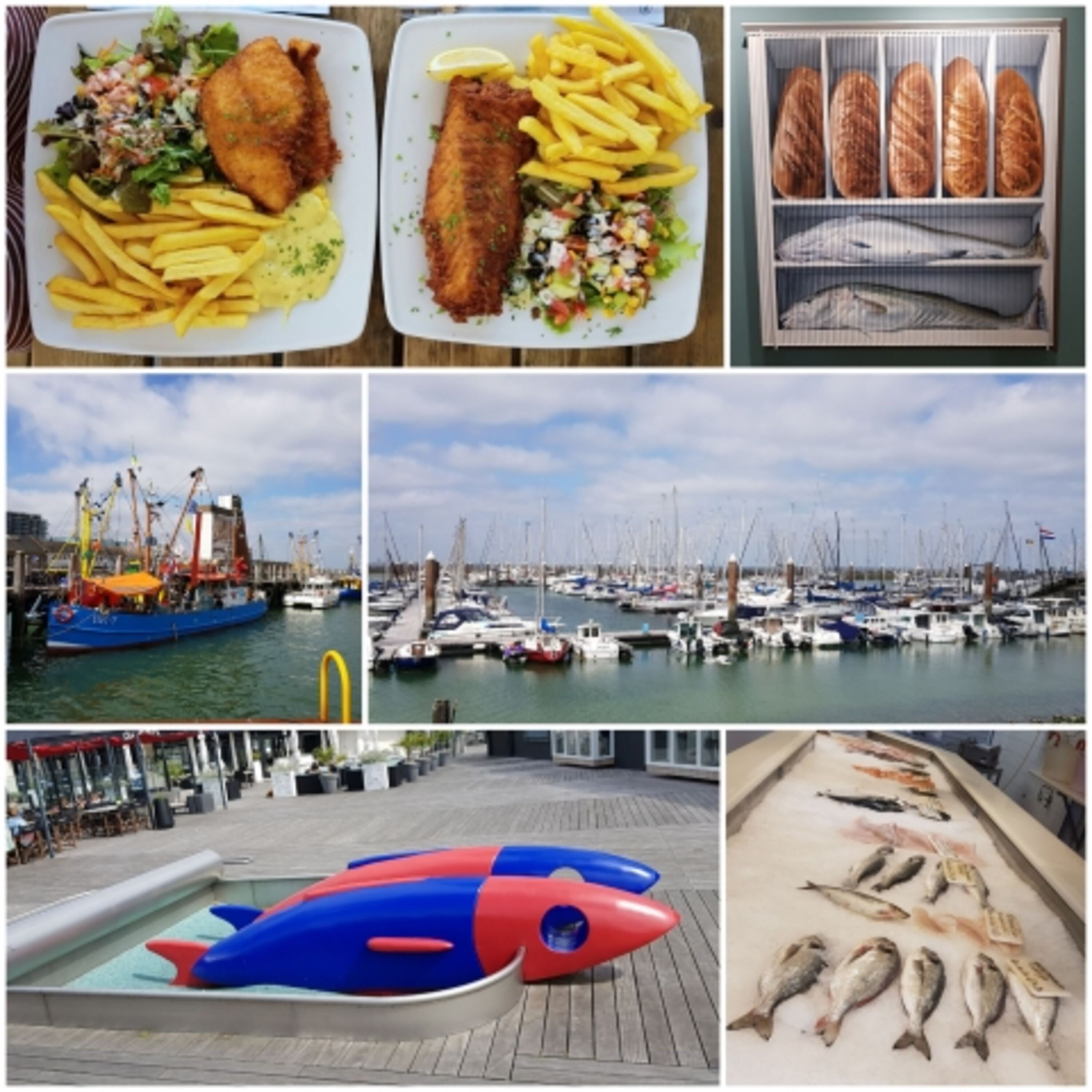 Hafen Breskens
