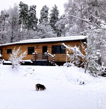 Außenansicht mit eingezäuntem Garten