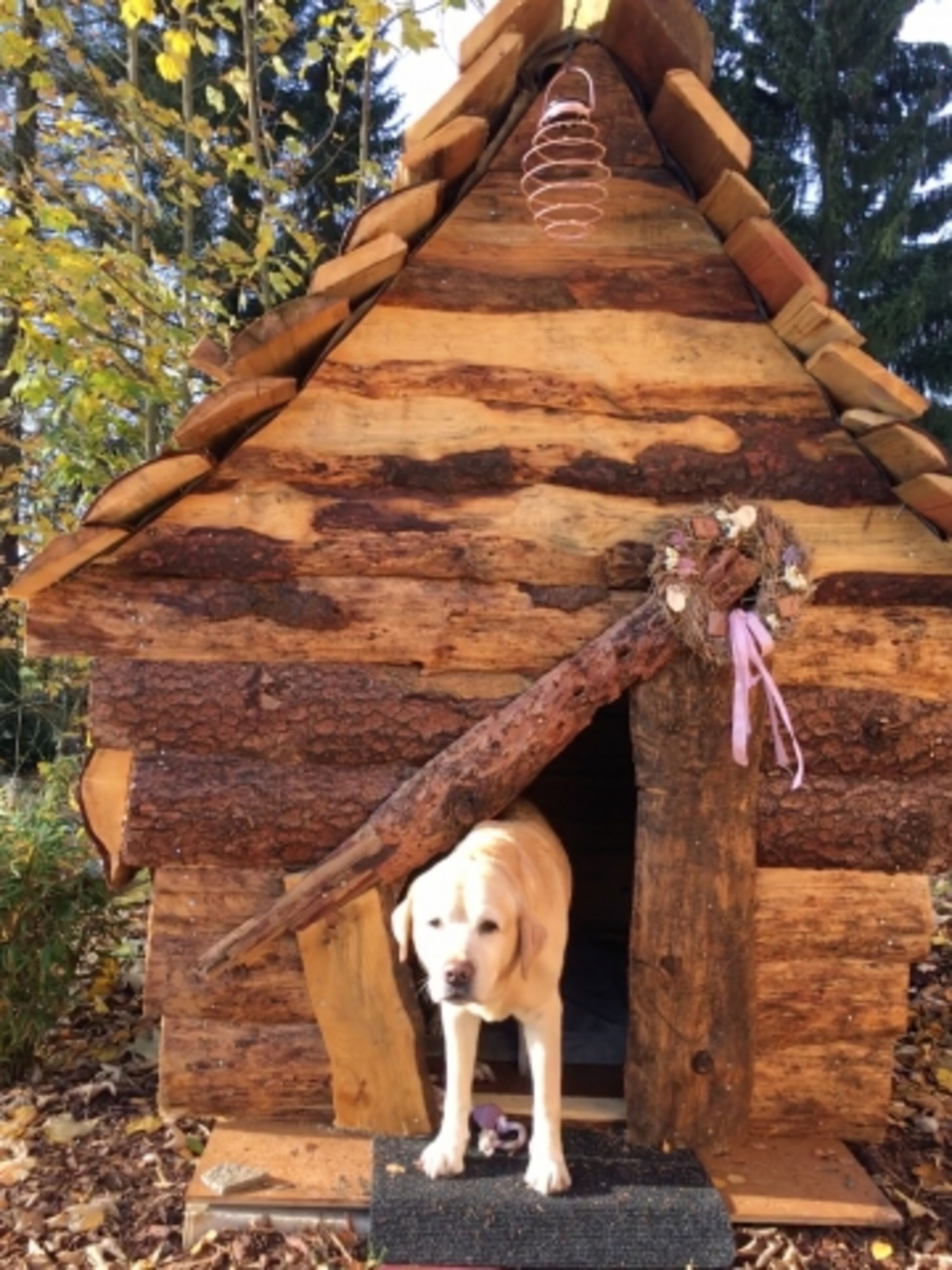 Hundehaus