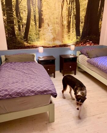 Schlafzimmer im Erdgeschoss mit 2 Einzelbetten