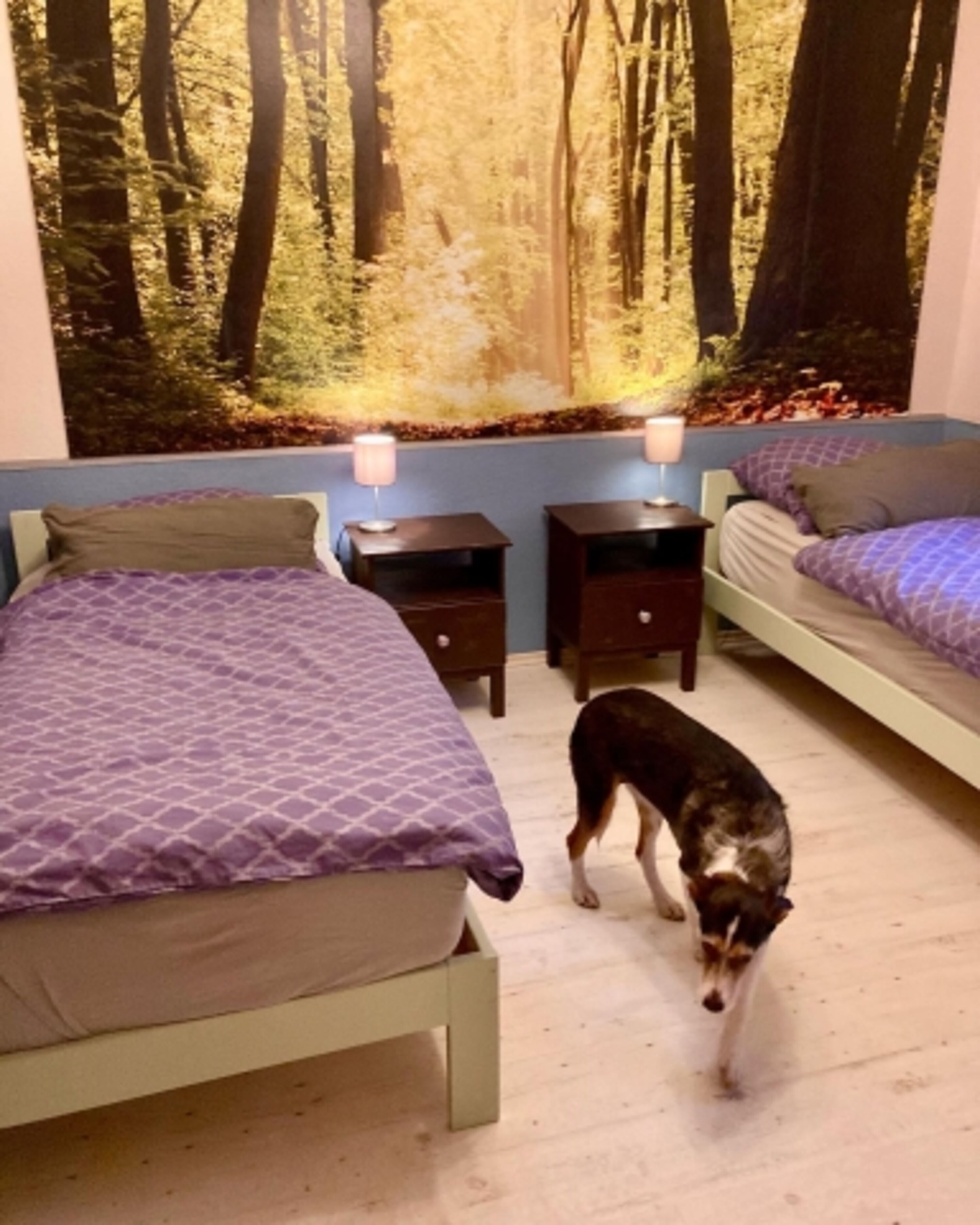 Schlafzimmer im Erdgeschoss mit 2 Einzelbetten