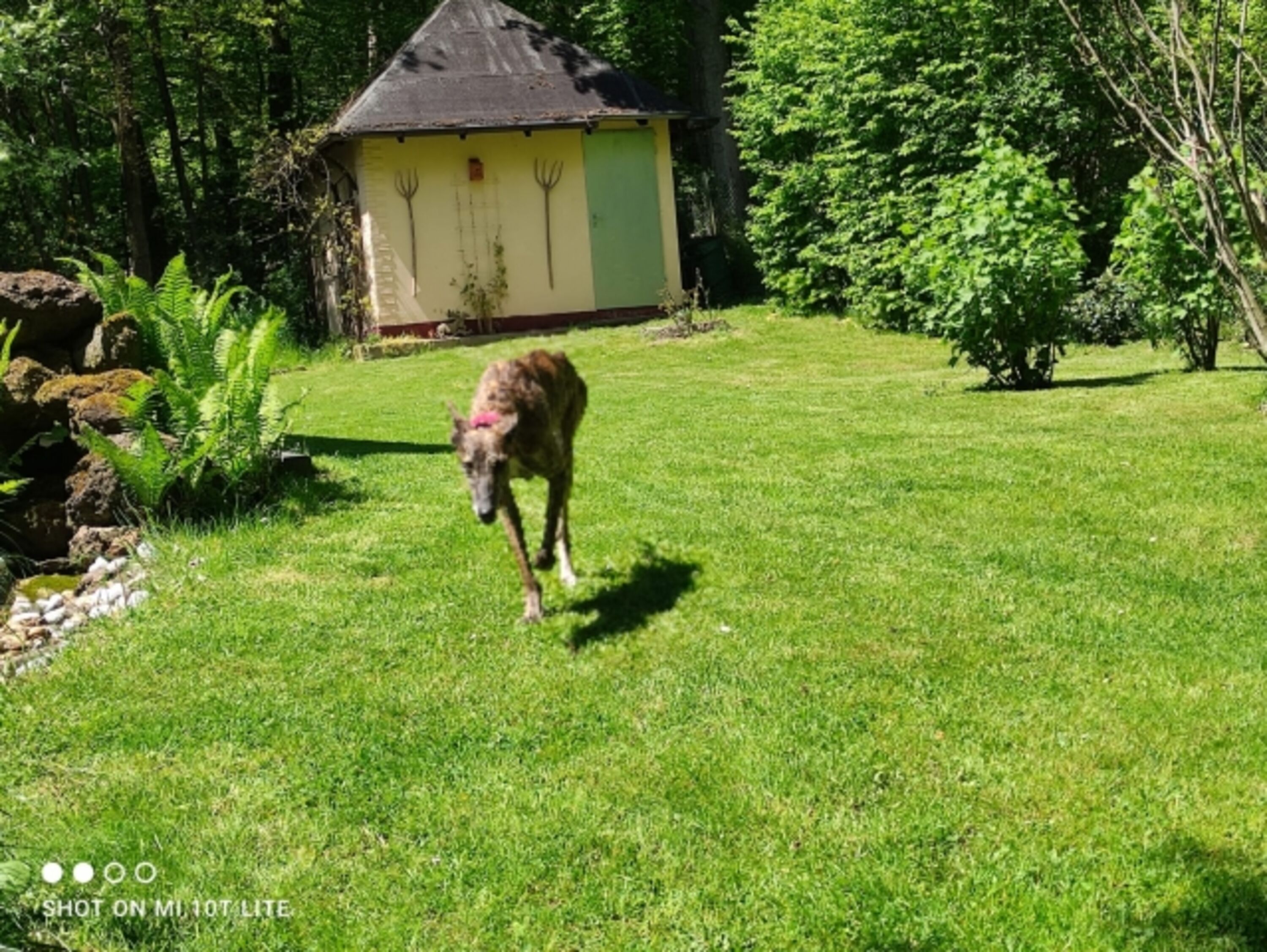 Garten