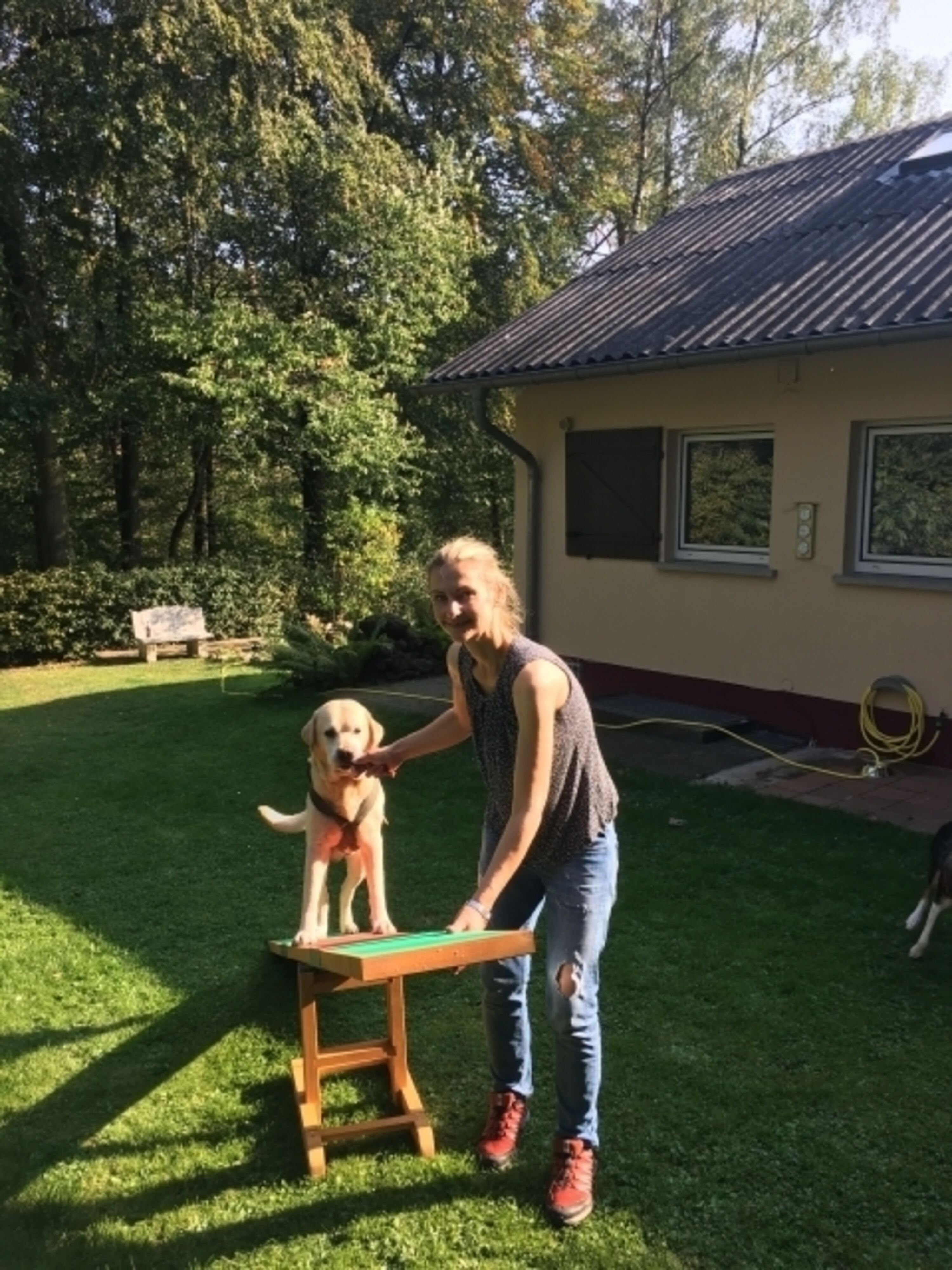 Garten mit Agilitywippe
