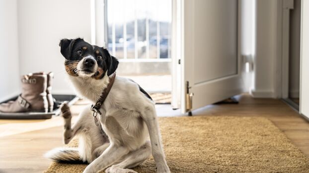 ganz entspannt nach dem Strand