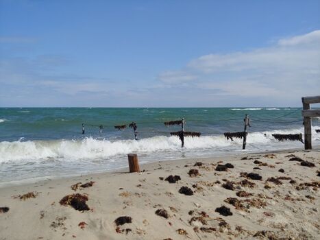 Schönhagen am Naturschutzstrand