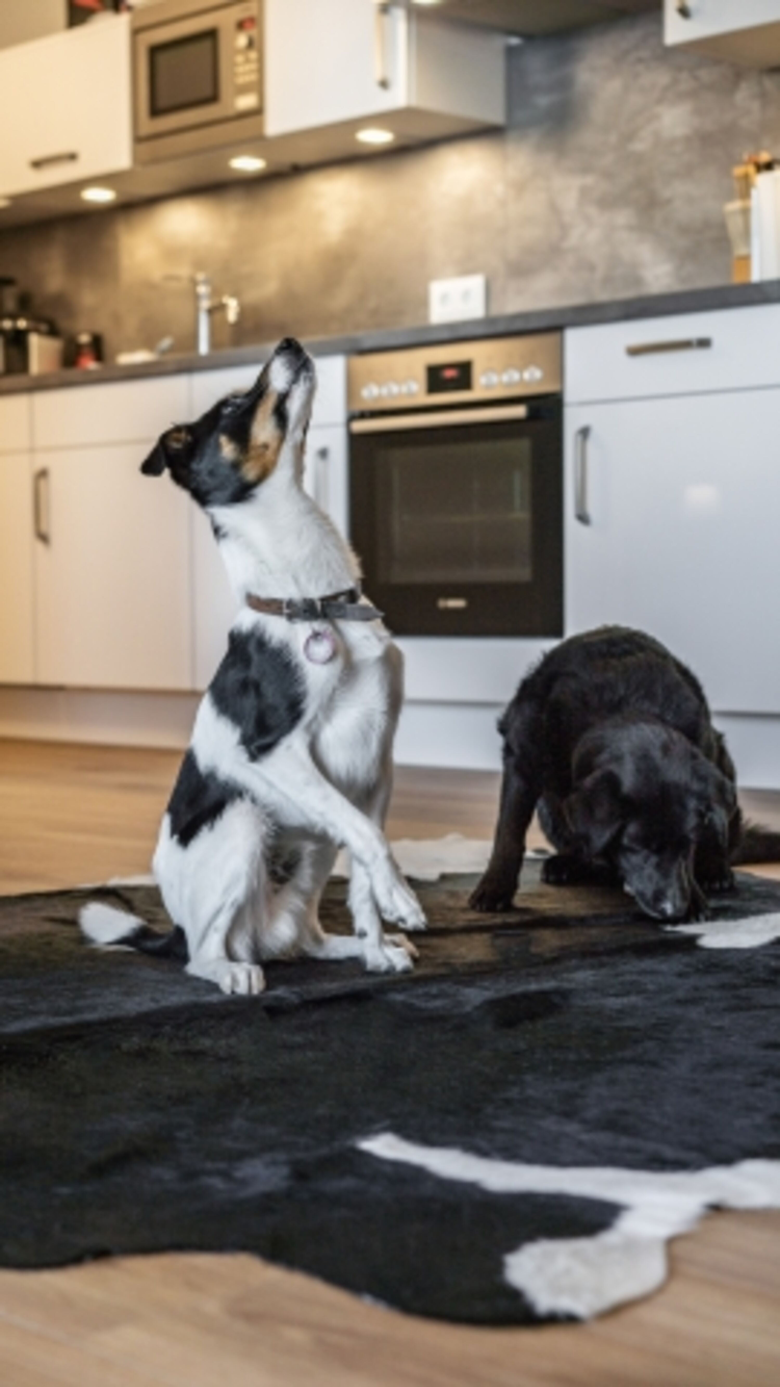 unsere Chef's