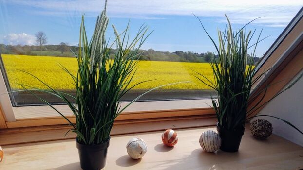 Blick aus dem Schlafzimmerfenster...