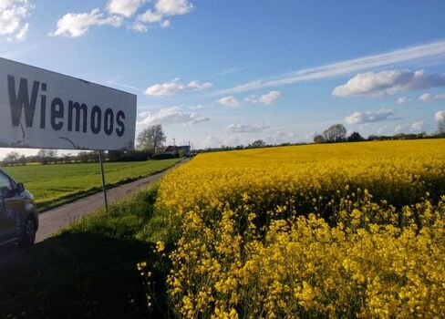 ...in Wiemoos!