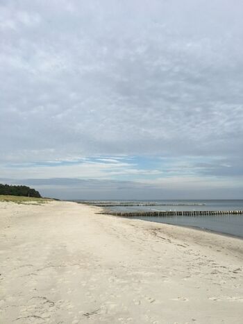 endloser Sandstrand direkt vor dem Deich