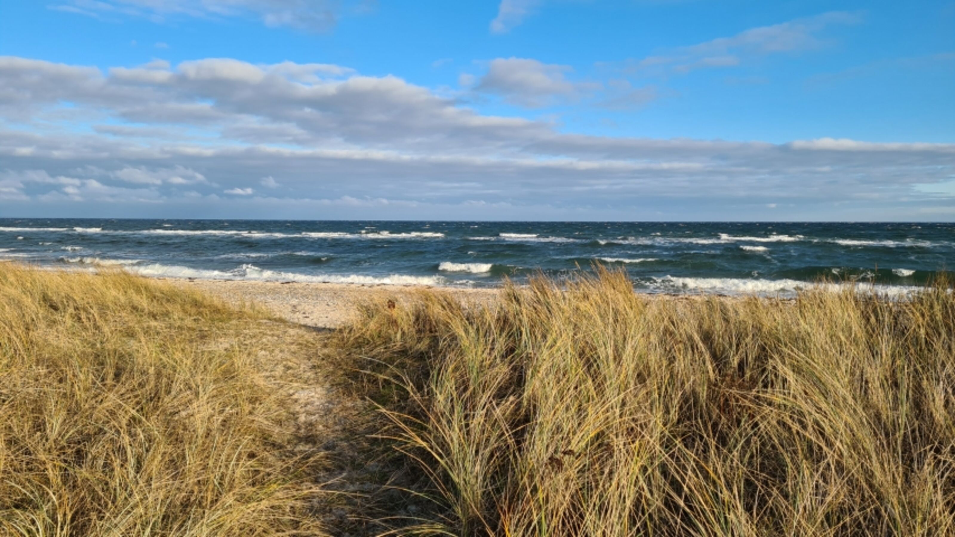 Ostseestrand