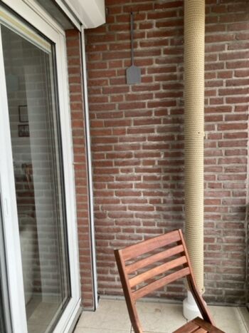 .... und Blick ins Grüne