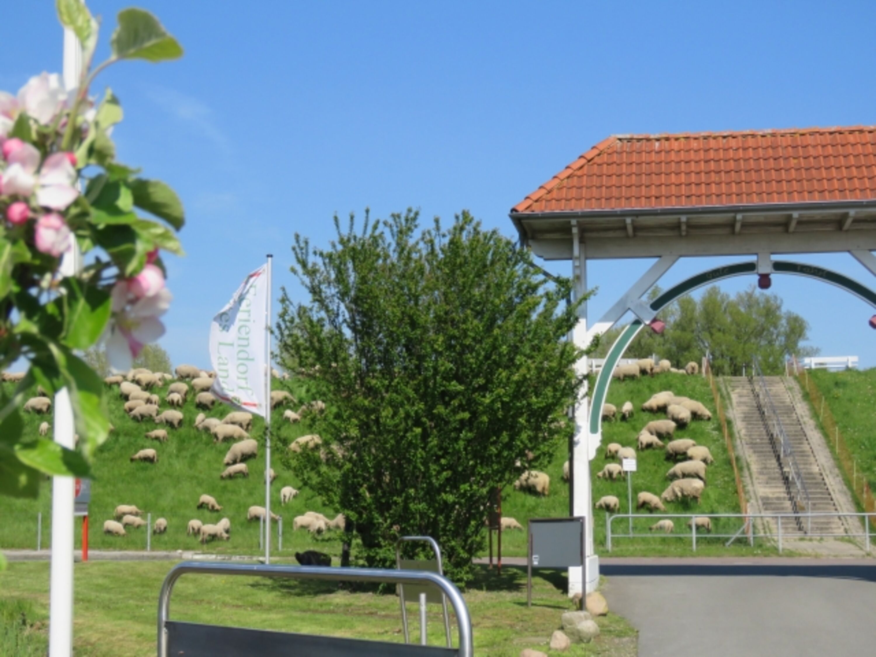Bild 19