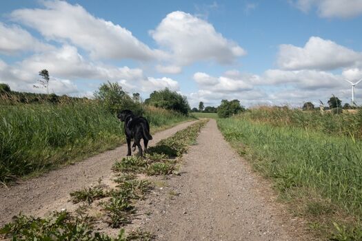 unmittelbare Umgebung der Ferienwohnung