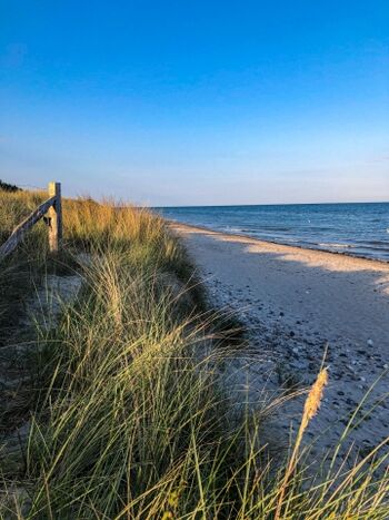 Weitläufiger Hundestrand in wenigen Minuten zu erreichen
