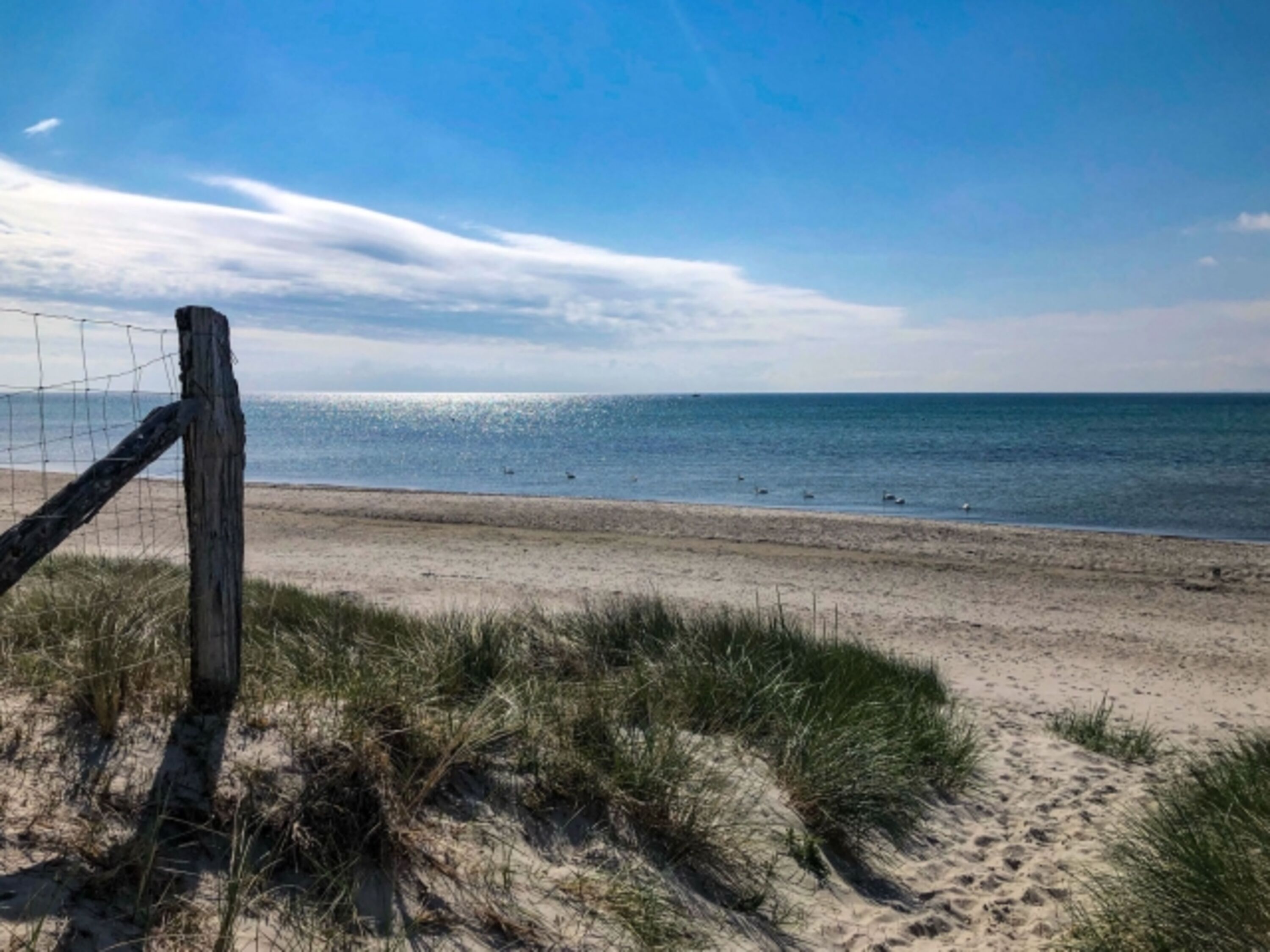 Weitläufiger Hundestrand in wenigen Minuten mit dem Auto zu erreichen