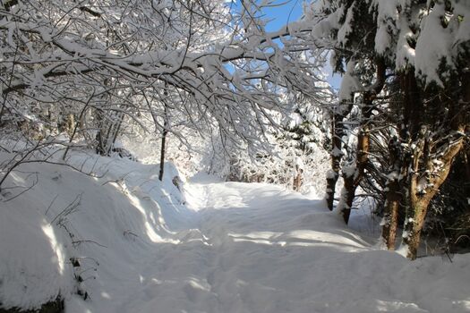 Winterweg neben der Ferienwohnung 