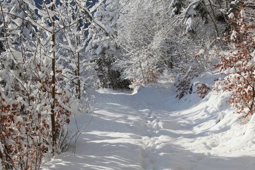 Winterweg neben der Ferienwohnung 
