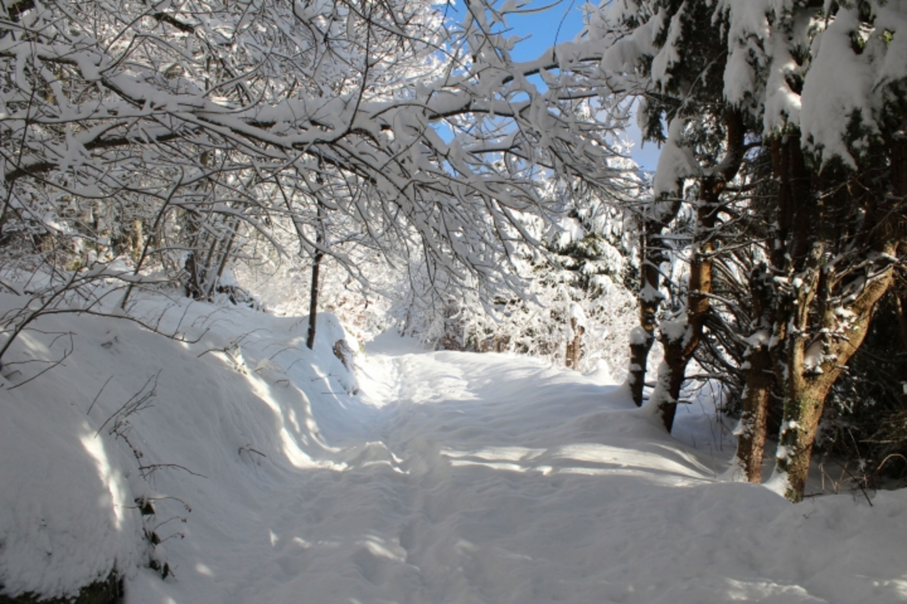 Winterweg neben der Ferienwohnung