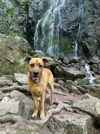 Allerheiligen Wasserfälle