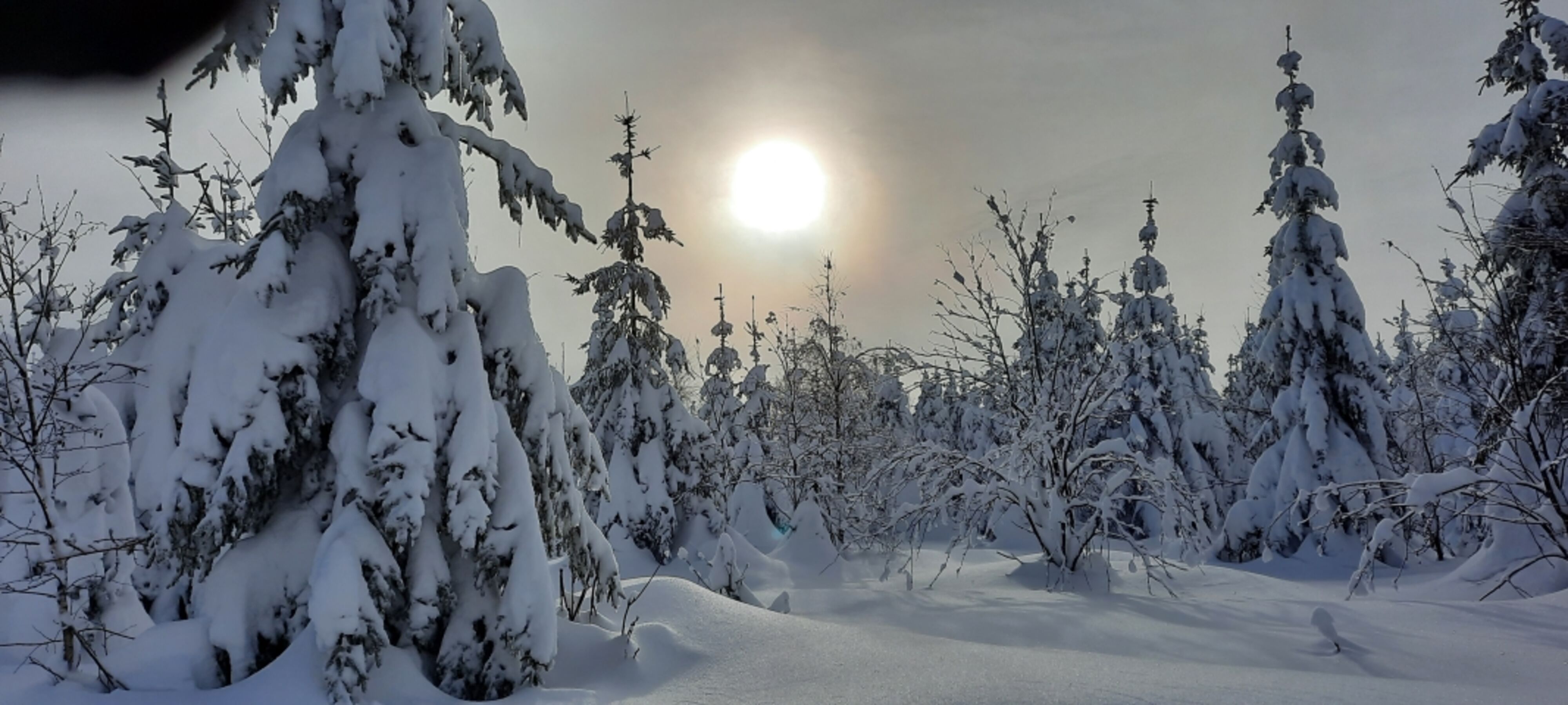 Winterlandschaft