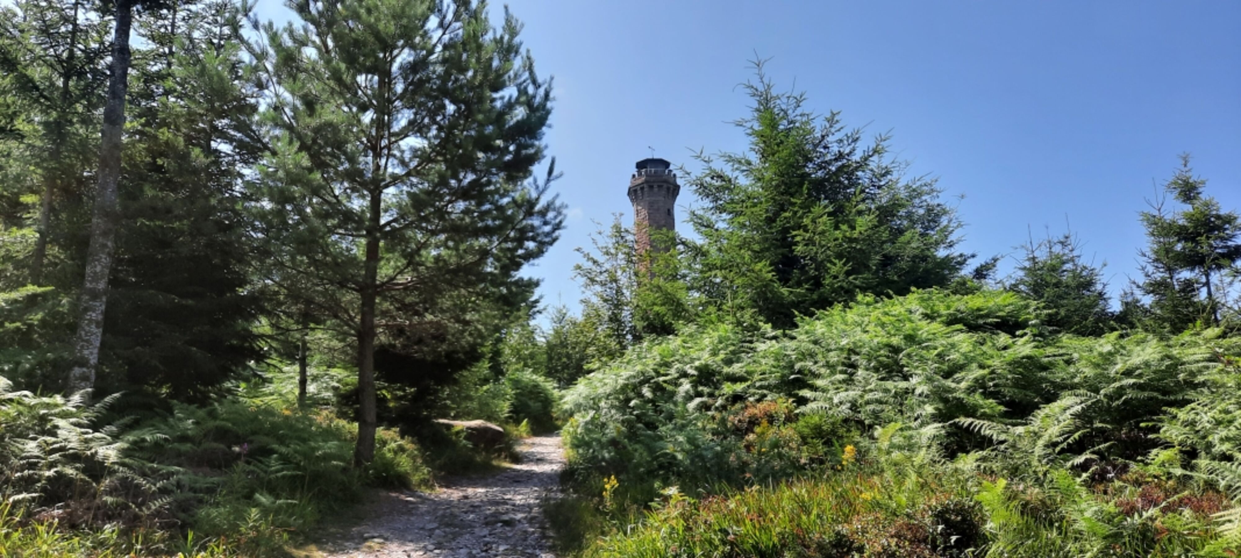 Mooskopfturm