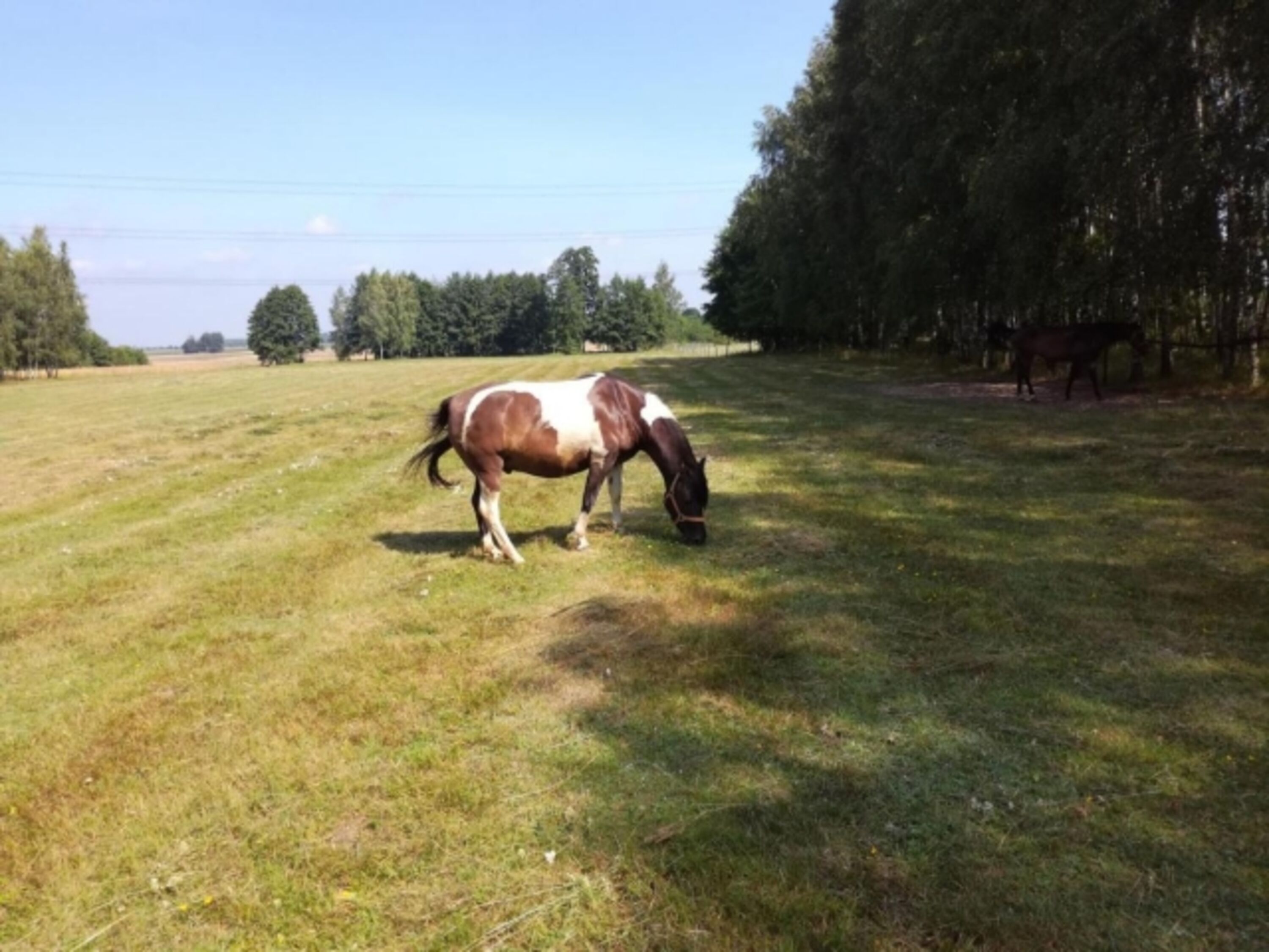 Bild 17