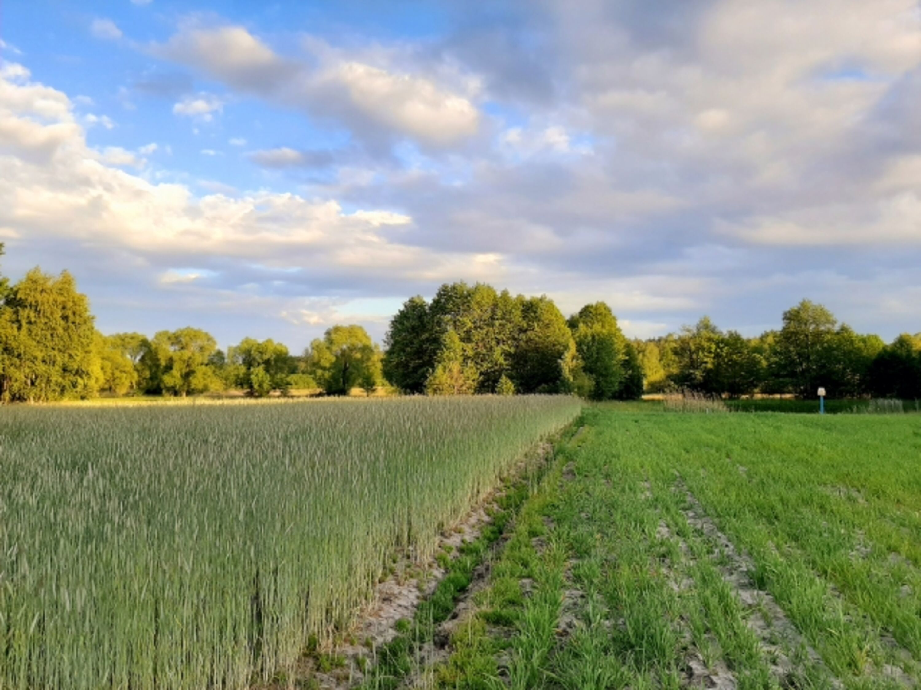 Bild 16