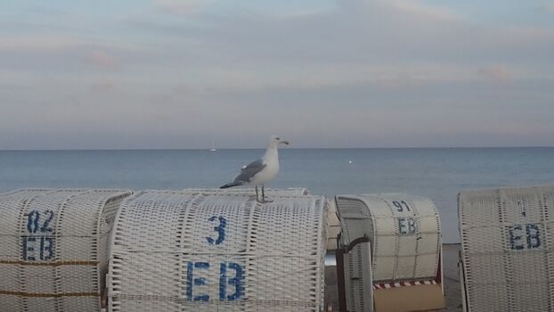 Der Strand der nur wenige Gehminuten entfernt ist