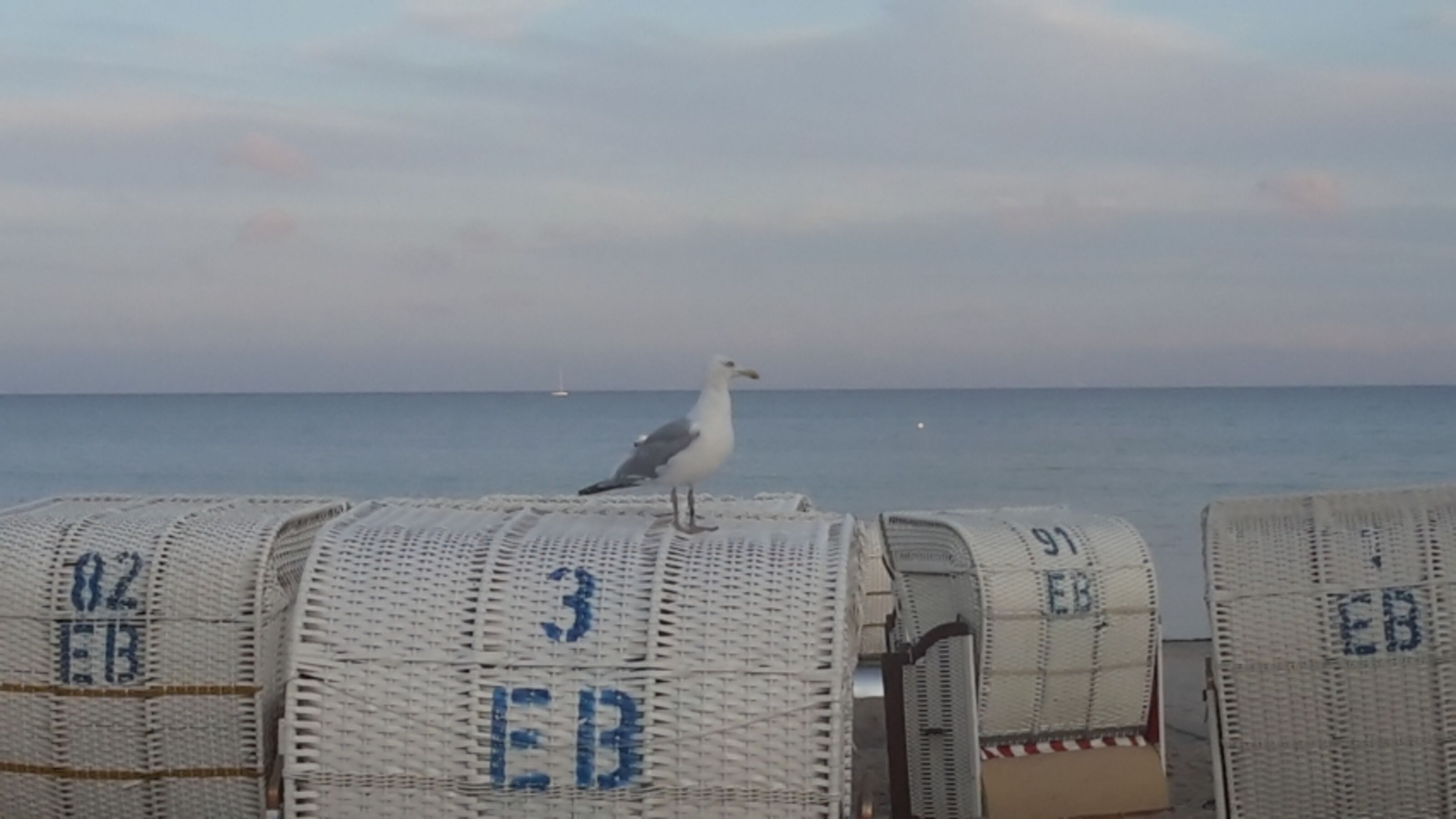 Der Strand der nur wenige Gehminuten entfernt ist