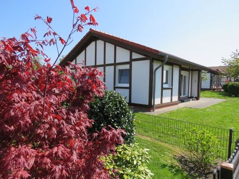 Ferienhaus Kogge Beispiel