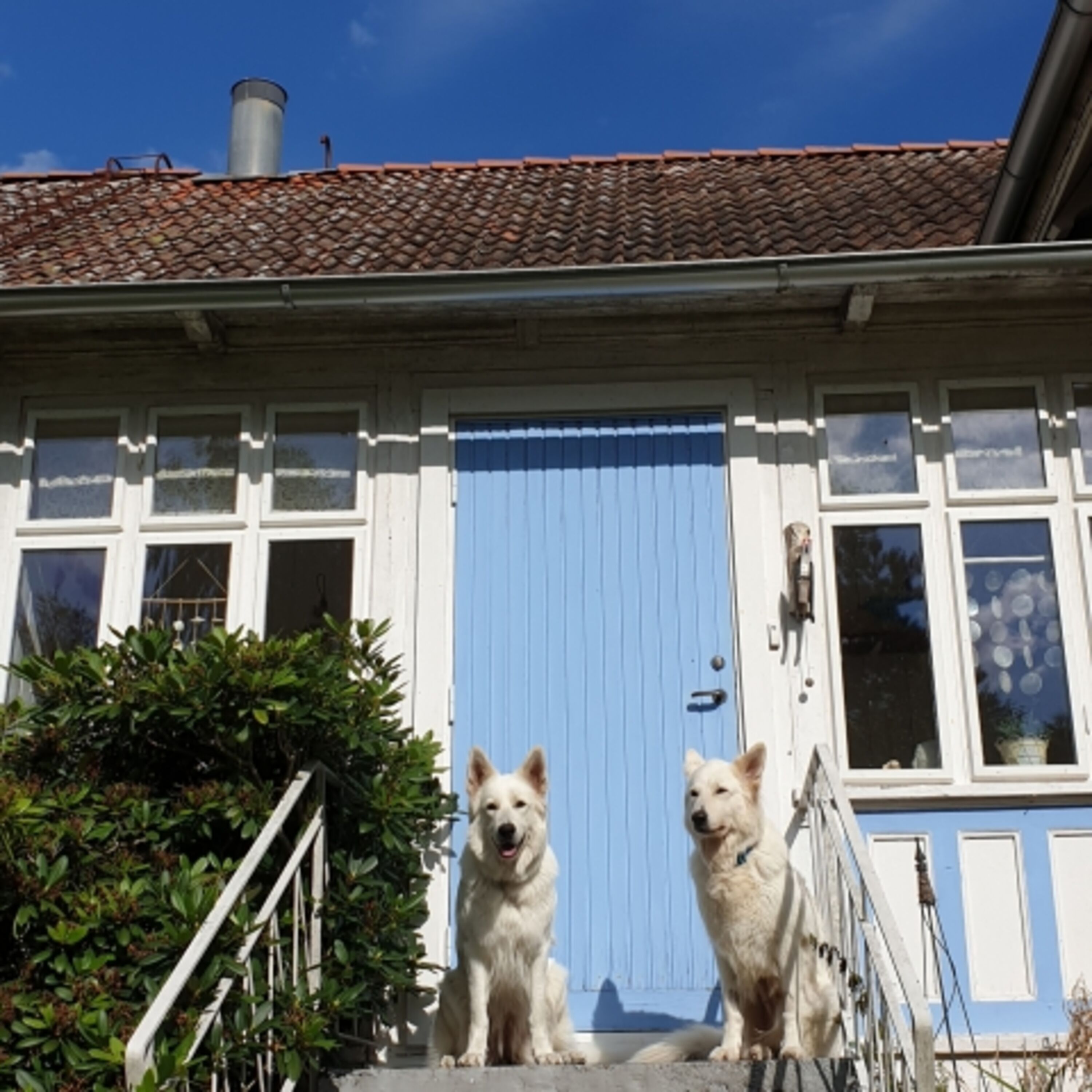 Bild 7