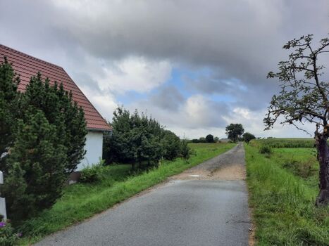 Hofeweg zum Spazierengehen oder Gassilaufen mit Hund