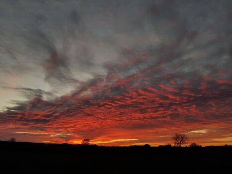 Ausblick von unserem Hochstand