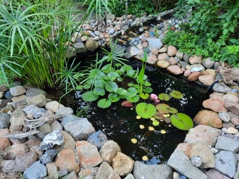 Unser Goldfischteich mit Wasserfall